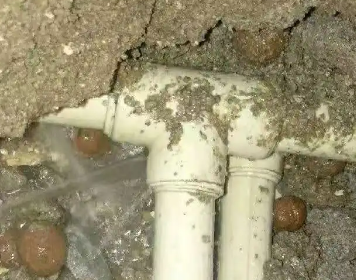 桐柏测漏水多少钱