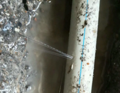 桐柏测漏水哪家好