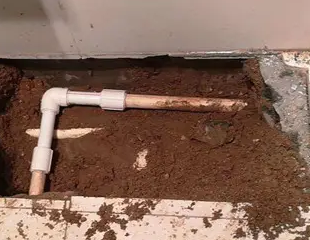 桐柏测漏水哪家好