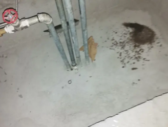 桐柏卫生间测漏水价格明细