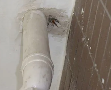 桐柏漏水检测哪家好